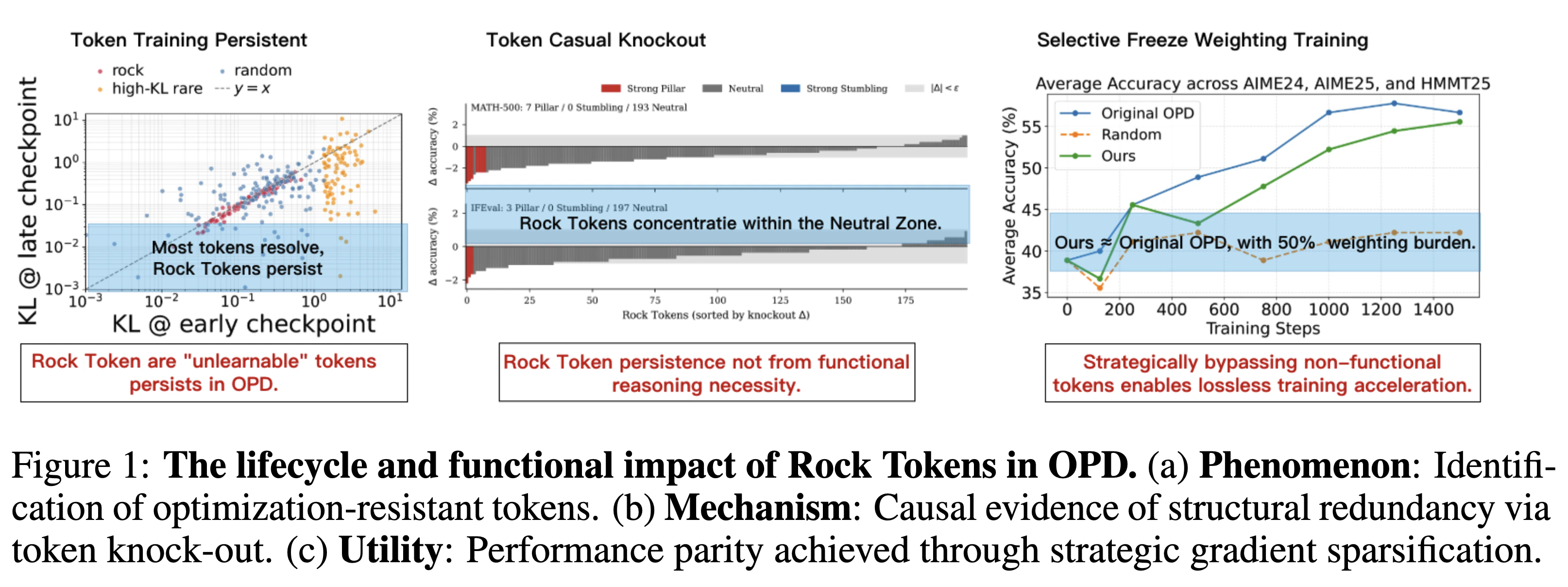 Cornerstones or Stumbling Blocks? Deciphering the Rock Tokens in On-Policy Distillation